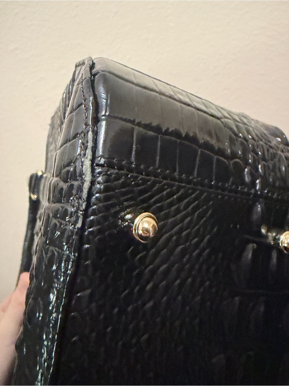 Brahmin - Picture 7 of 9